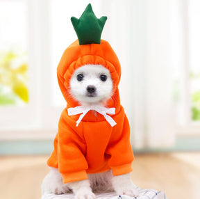 Cute Fruit Dog Clothes For Small Dogs Hoodies Winter Warm Fleece