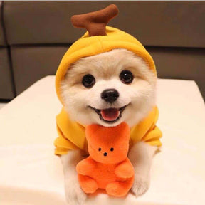 Cute Fruit Dog Clothes For Small Dogs Hoodies Winter Warm Fleece